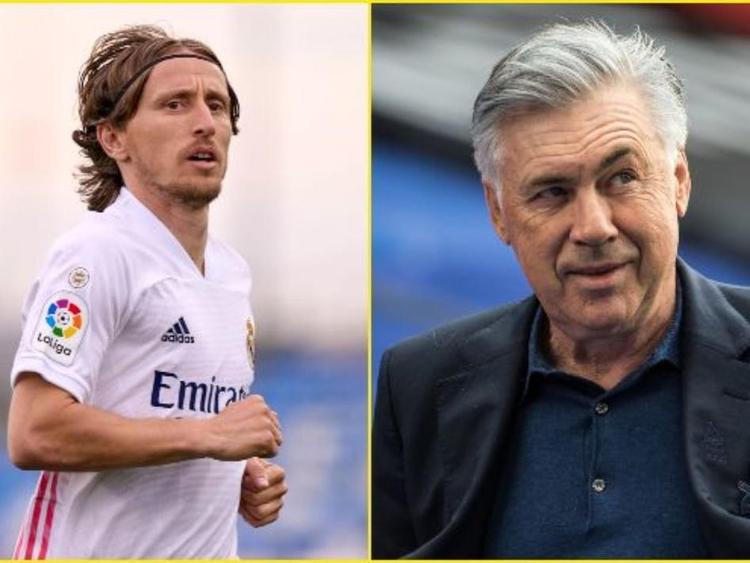 引进弗林蓬 引进弗林蓬