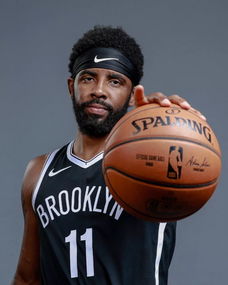 传导球和快 传导球和快